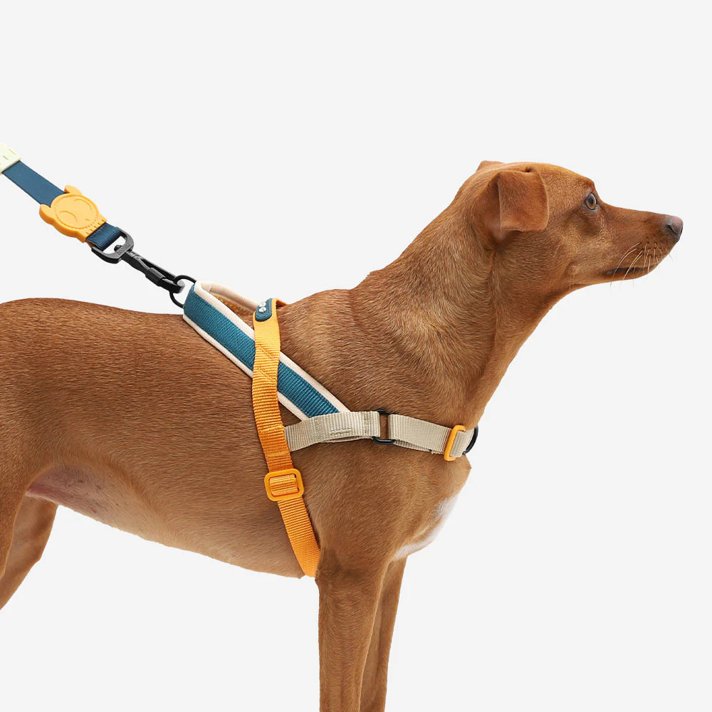 Voyage | SofterWalk Harness - Image 5