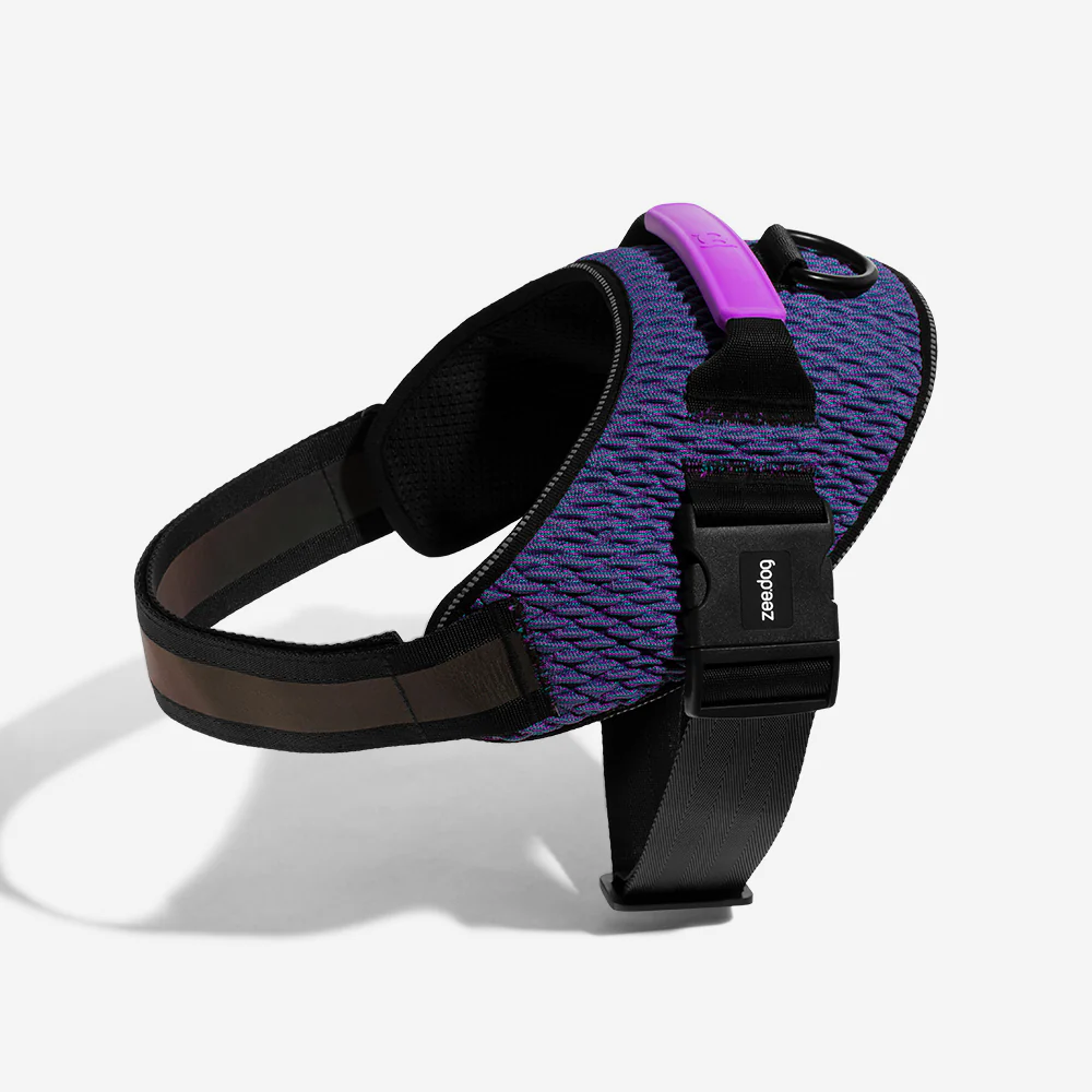 Wicked | FlyHarness - Image 3