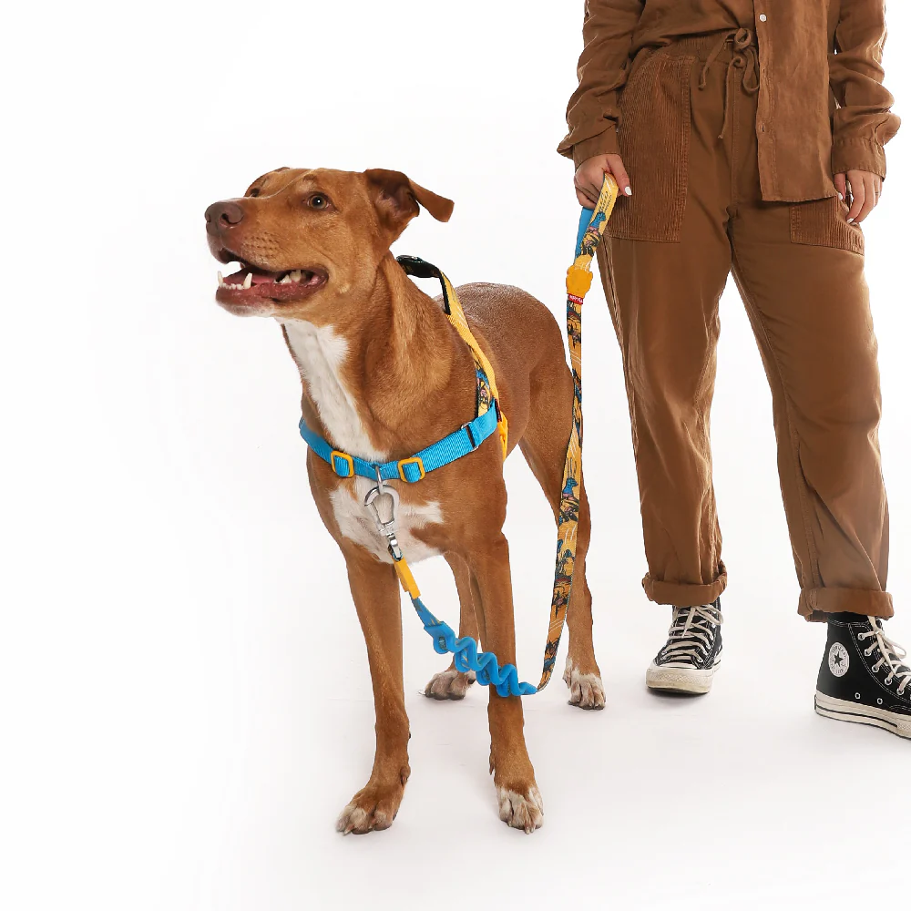Wolverine | SofterWalk Harness - Image 2