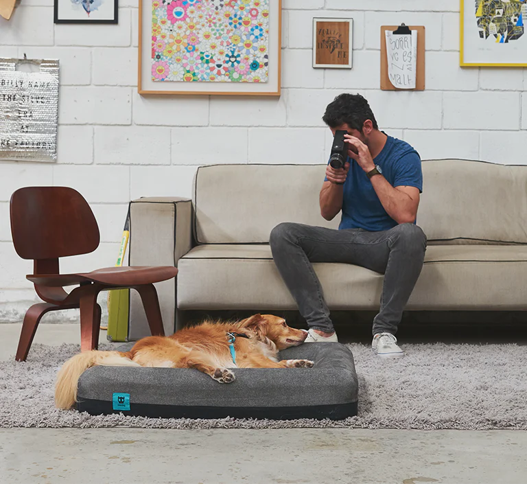 Zee.Bed Logo | Dog Bed - Image 7