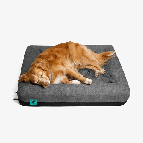 Zee.Bed Logo | Dog Bed - Image 9