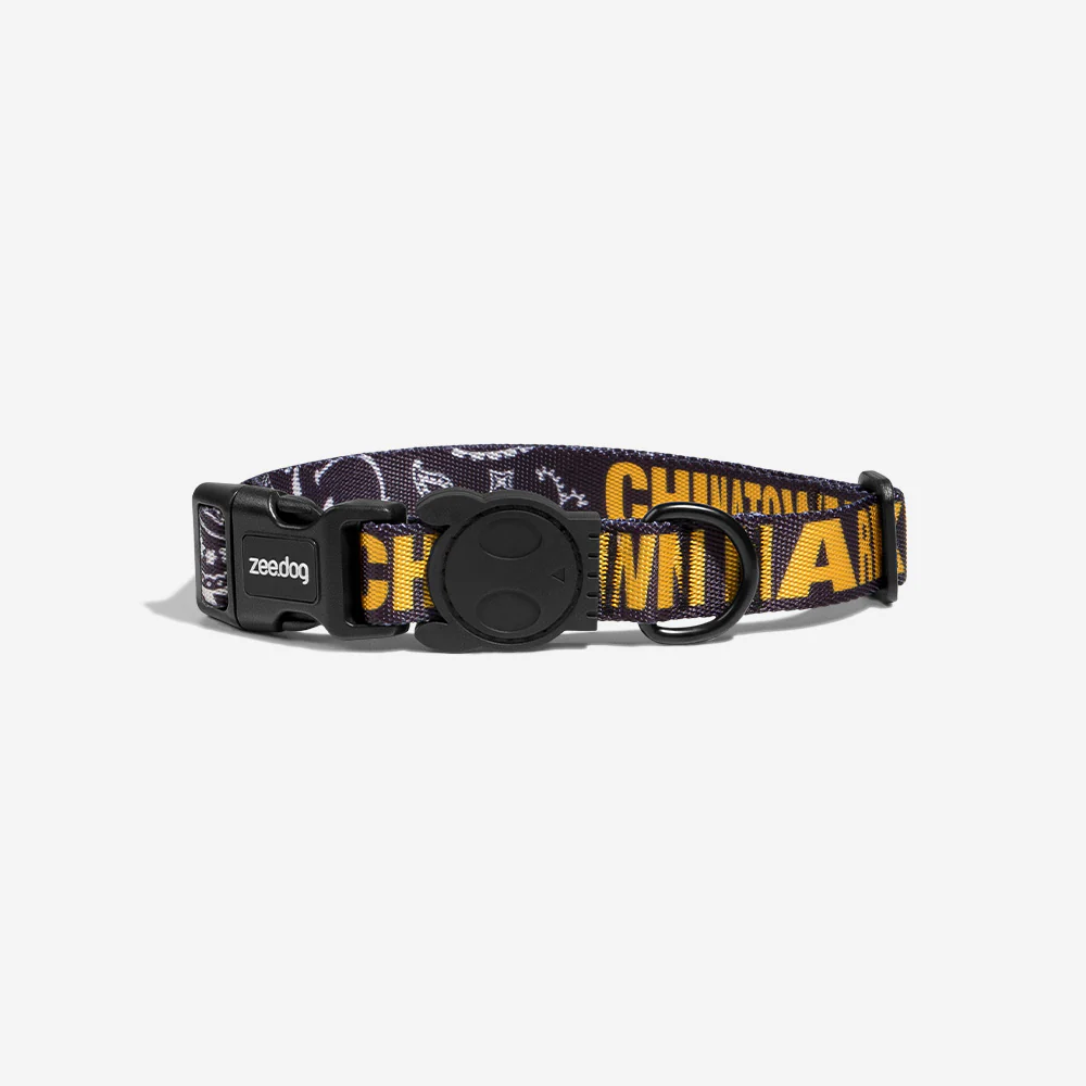 Zee.Dog x Chinatown Market Black | Collar - Image 4