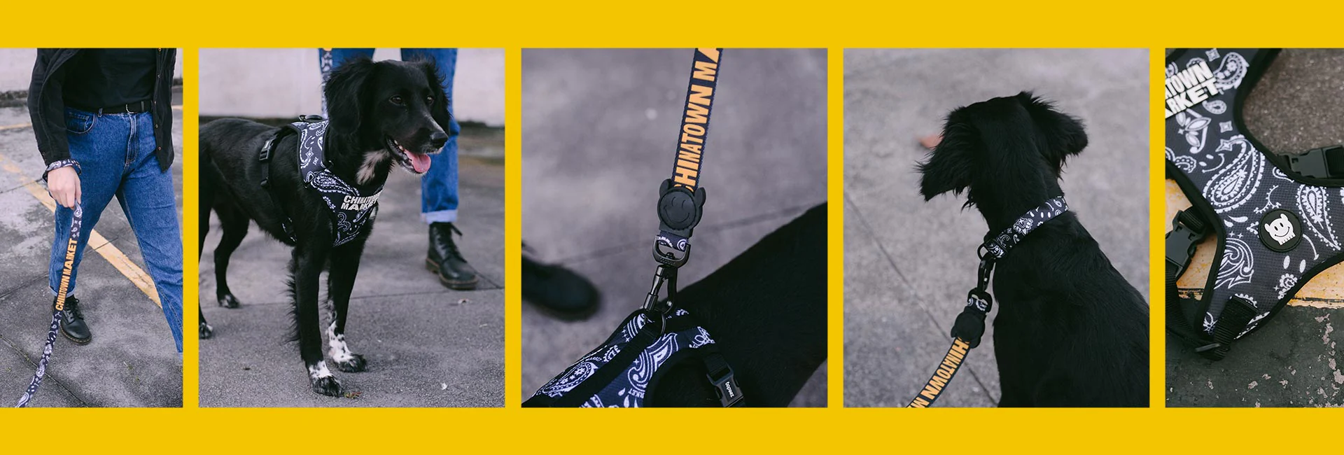 Zee.Dog x Chinatown Market Black | Collar - Image 5