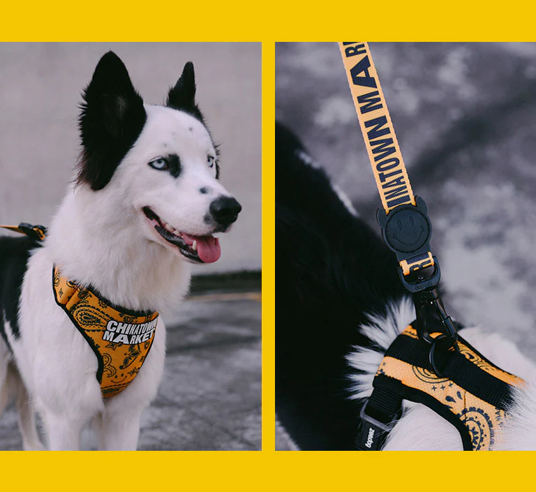 Zee.Dog x Chinatown Market Yellow | Collar - Image 10