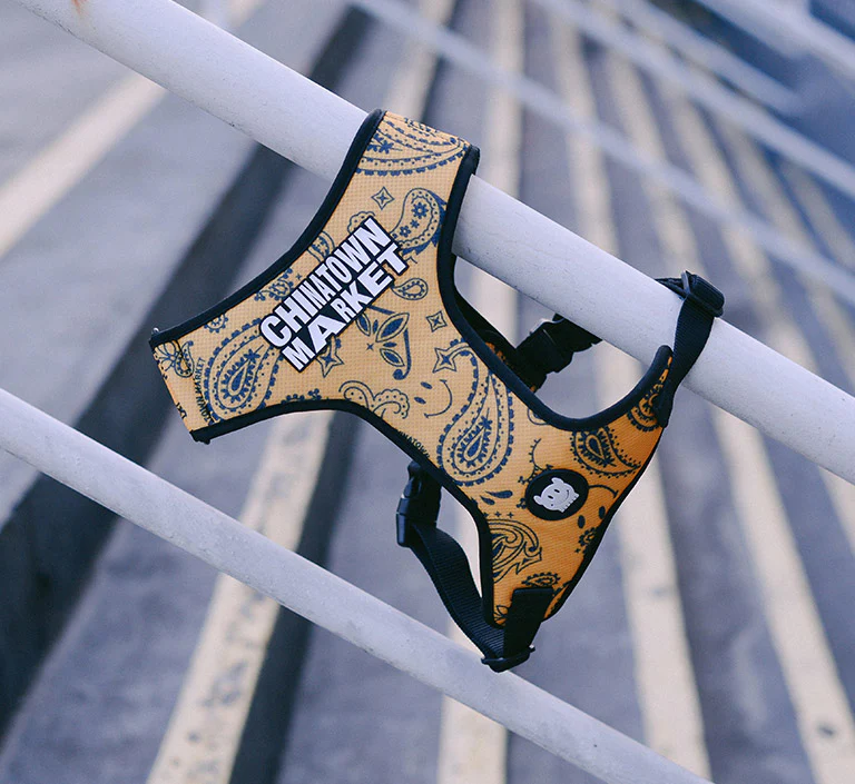 Zee.Dog x Chinatown Market Yellow | Collar - Image 11