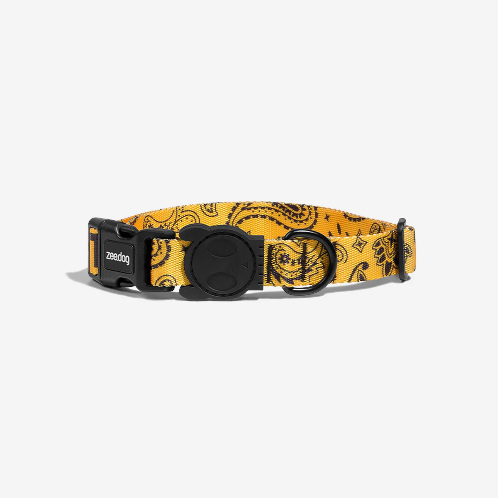 Zee.Dog x Chinatown Market Yellow | Collar - Image 4