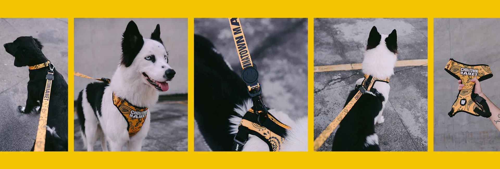 Zee.Dog x Chinatown Market Yellow  | Leash - Image 4