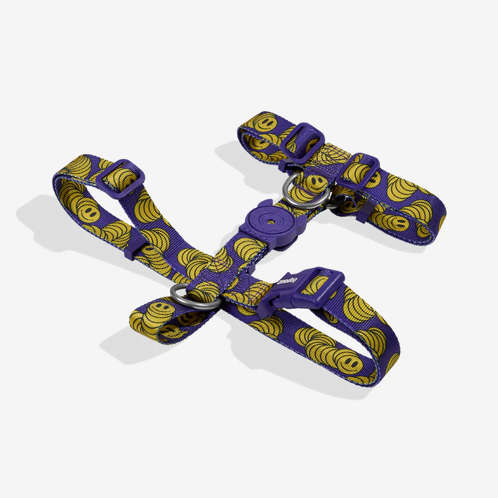 Zmiley | H Harness - Image 2