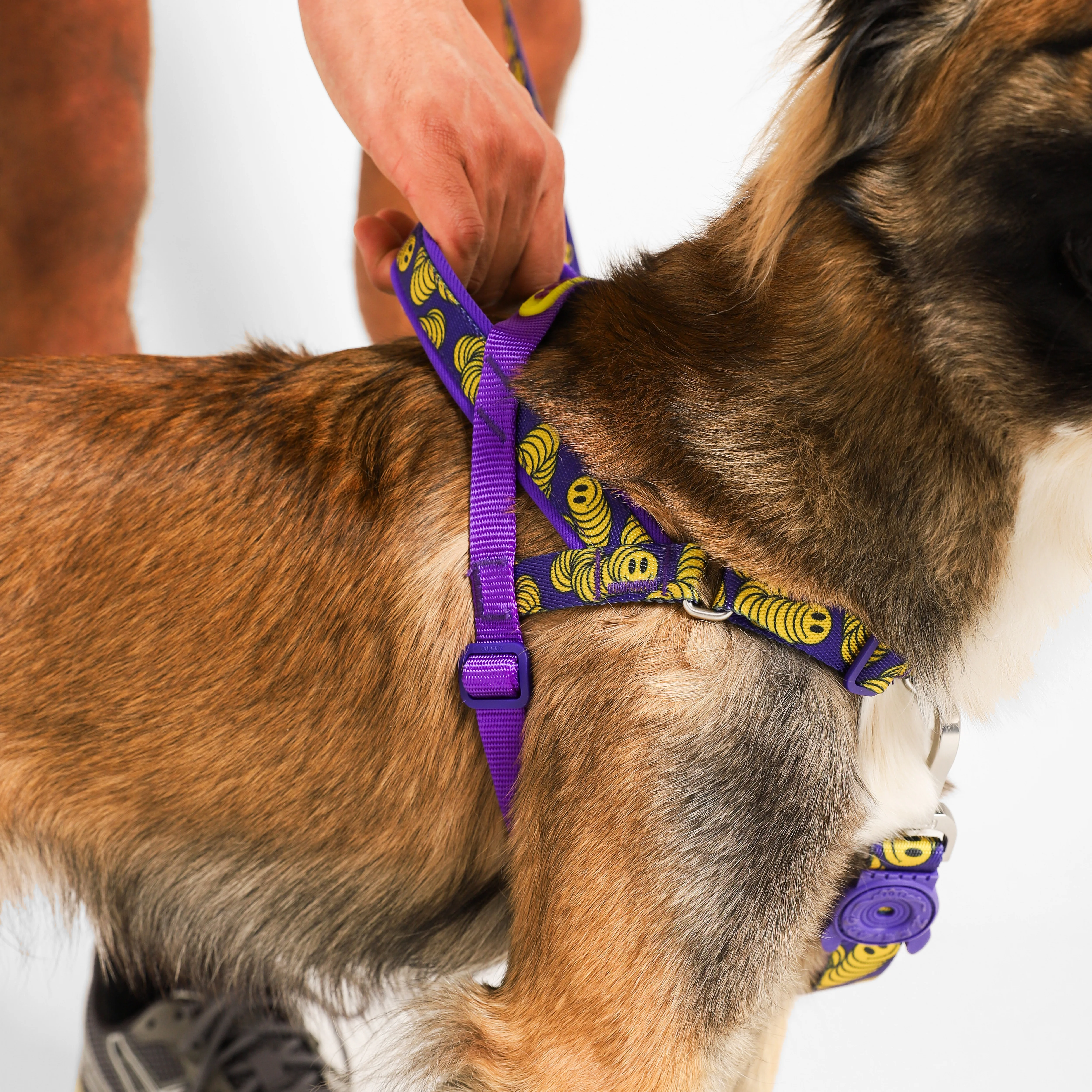 Zmiley | SofterWalk Harness - Image 3